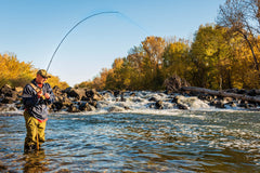 The Fly Fishing Place 6-pack Prince Nymphs reduce gear changes during quick river nymphing sessions.