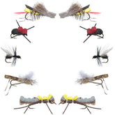 The Fly Fishing Place Flying Ant for precise dry-fly presentation on trout streams.