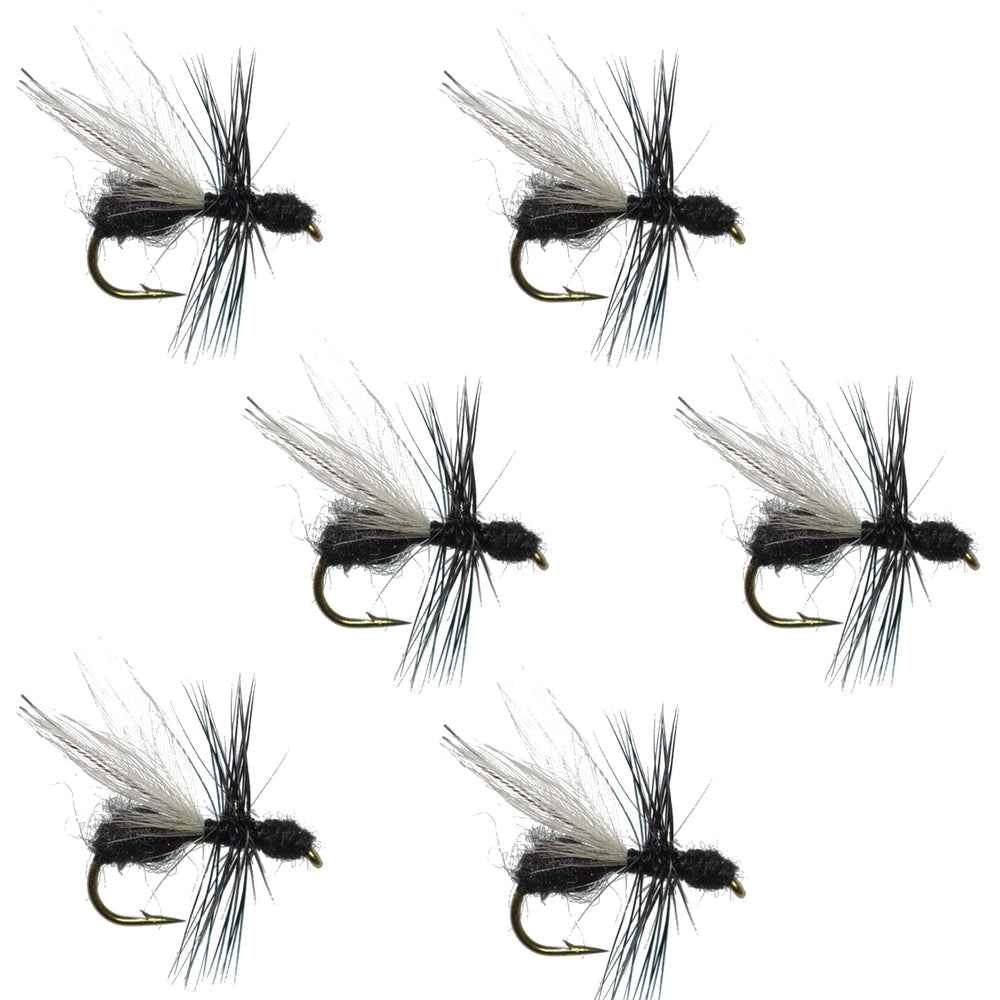 The Fly Fishing Place Flying Black Ant dry fly set, six flies, size 14, ready for rivers.