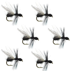 The Fly Fishing Place Flying Black Ant dry fly set, six flies, size 14, ready for rivers.