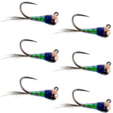 The Fly Fishing Place gasolina perdigon tactical jig size 16 ready for Euro nymphing.