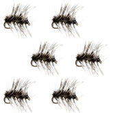 The Fly Fishing Place Griffiths Gnat dry fly set size 20 for trout fishing