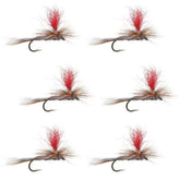 The Fly Fishing Place hi-visibility parachute Adams dry fly set shown for easy trout tracking.