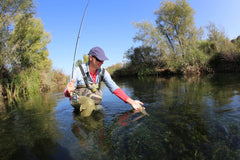 Six hand-tied flies in size 16 for versatile stillwater and hatch matching.