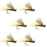 The Fly Fishing Place Olive X Caddis Emerging Dry Fly set of six for surface activity