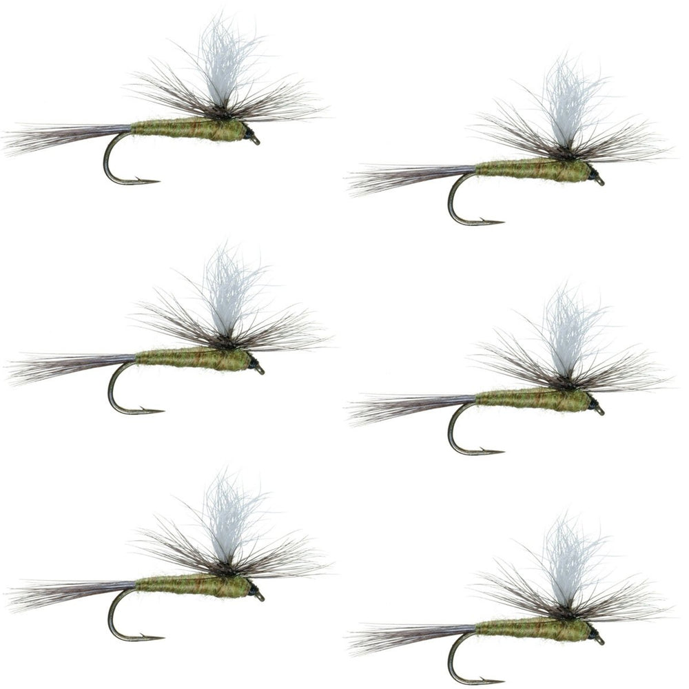 The Fly Fishing Place Parachute BWO dry fly, size 18, ideal for imitating mayflies at the surface.