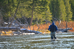 Front view of the Purple Haze dry fly imitates mayflies, aiding natural drifts over trout habitat.
