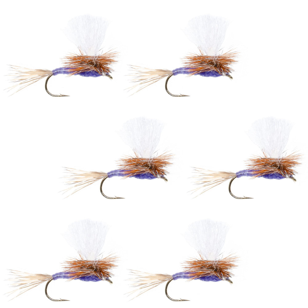 The Fly Fishing Place Parachute Purple Haze dry fly, front view, highly visible for trout.