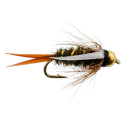 The Fly Fishing Place peacock herl body detail on Prince Nymph