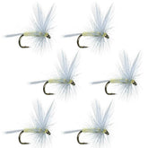 The Fly Fishing Place PMD dry fly closeup hackle detail enhances realism