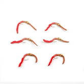 The Fly Fishing Place San Juan Worm Power Bead brown red set of six flies for trout