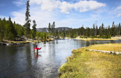 The Fly Fishing Place trout and panfish dry fly for versatile streams.