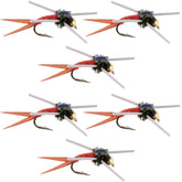 The Fly Fishing Place tungsten bead head nymph with rubber legs for deep-water presentation