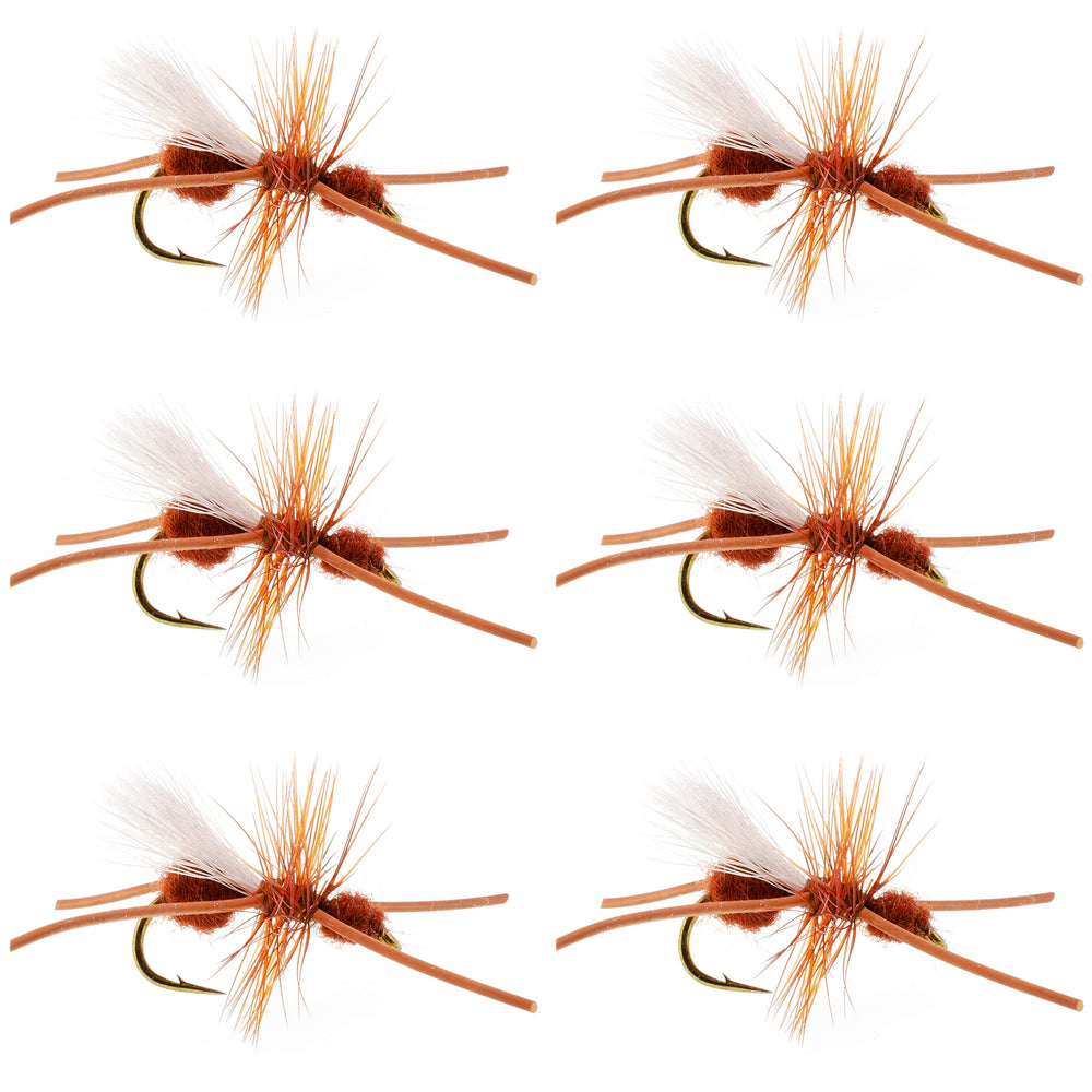 The Fly Fishing Place Turcks Power Ant cinnamon rubber legs dry flies set for trout