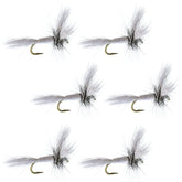 The Fly Fishing Place White Wulff 6-pack dry flies product-shot highlights ready trout fishing presentations.
