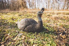 The Grind Lay Down Hen head detail highlights lifelike eyes and feather texture for close inspection