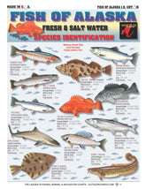 Tightlines Alaska Fish ID Chart front view, double-sided for quick species reference on trips