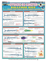 Tightlines Ballyhoo rigs guide cover with quick reference layout for offshore fishing
