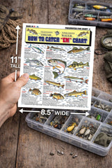 Tightlines Chart 4 waterproof material withstands rain, spray, and rugged outdoor use.