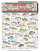 Tightlines Fishermans Freshwater Chart 8 cover with clear icons for quick field reference.