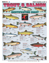 Tightlines Freshwater Fish Identification Chart 11 front cover showing trout and salmon visuals for quick reference.