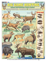 Tightlines Publications' Big Game Hunting Identification Chart 1 front cover offers rugged waterproof field guidance.