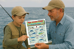 Tightlines Saltwater Chart portable size fits tackle box for on-demand use.