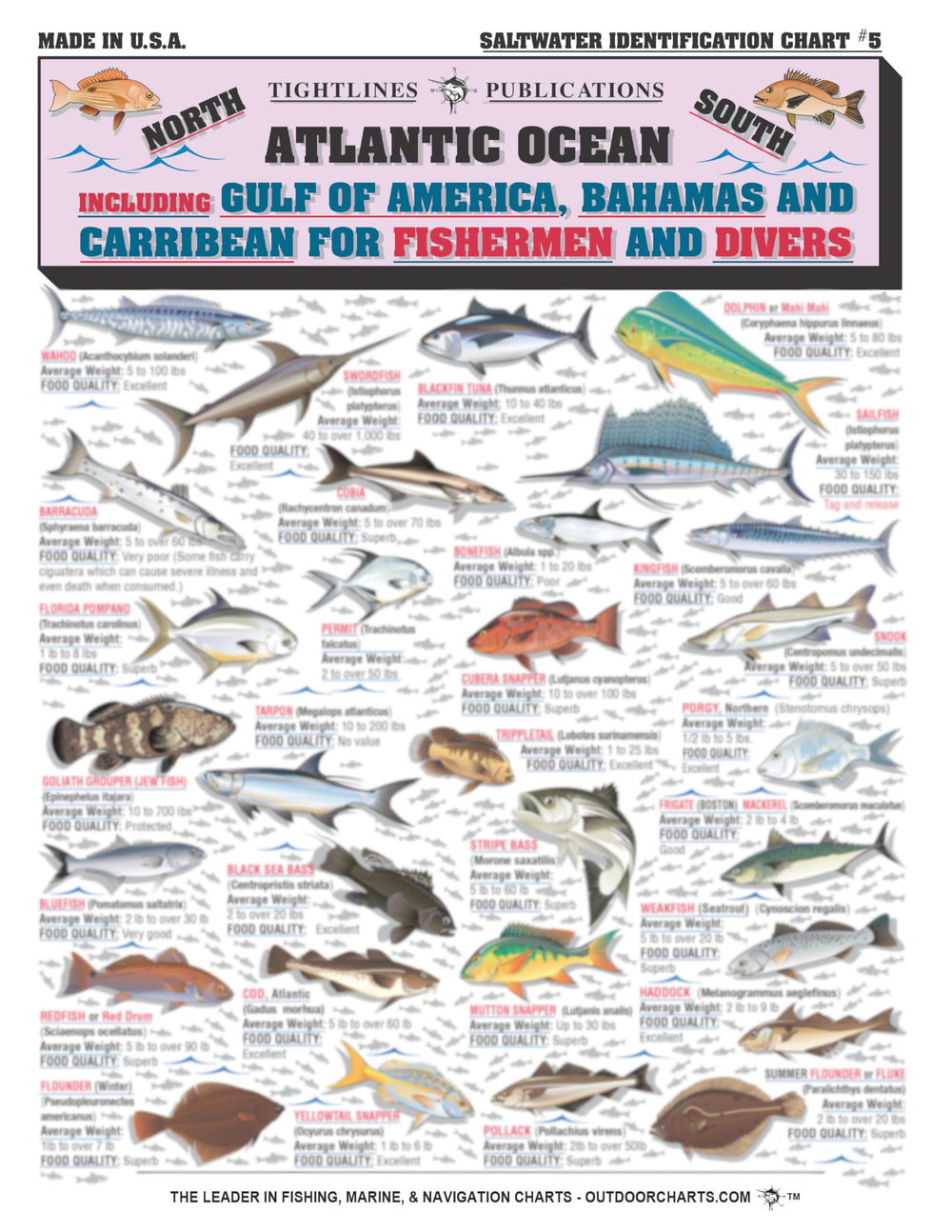 Tightlines Saltwater Fish Identification Chart cover for quick on-boat reference