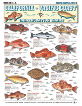 Tightlines Saltwater ID Chart 15 cover presents a durable waterproof quick reference.