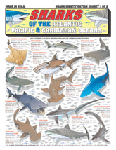Tightlines Shark Identification Chart waterproof quick reference for Atlantic, Pacific
