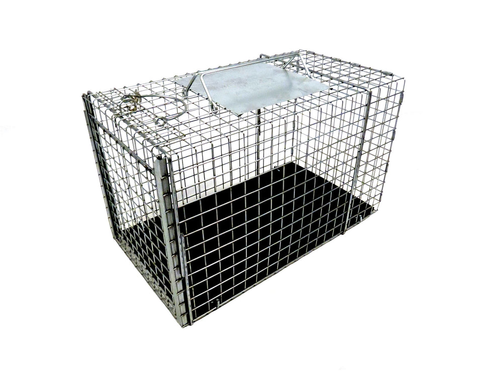 Tomahawk Live Trap 306NC transfer cage front view with easy release door for safe handling
