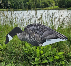 Top Down Decoys CV246-12 sentry head adds scanning stance for natural scenes.