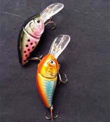 Hard plastic lures with rattles and lifelike eyes