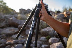 Tricer-AD field use enables glassing stability for precise wildlife viewing.