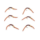Trout Nymph Fly with San Juan Worm Power Bead, gold bead, size 10, 6-pack