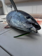 Descent action of Tuna Riser Jig 80g in water