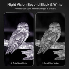 VisioGear NTX3 AI Color Boost clarifies scenes for easier recognition