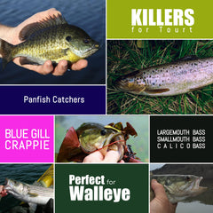 Assorted color crappie tube baits and jig heads