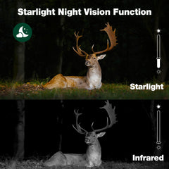 VOOPEAK trail camera with starlight night vision captures color footage in low light.