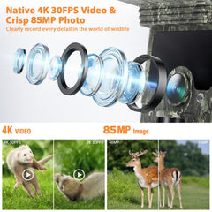 VOOPEAK WiFi Trail Camera 30fps video captures smooth wildlife footage