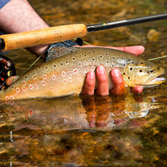 Wakeman reel with 9-foot leader and 45-foot fly line for quick setups.