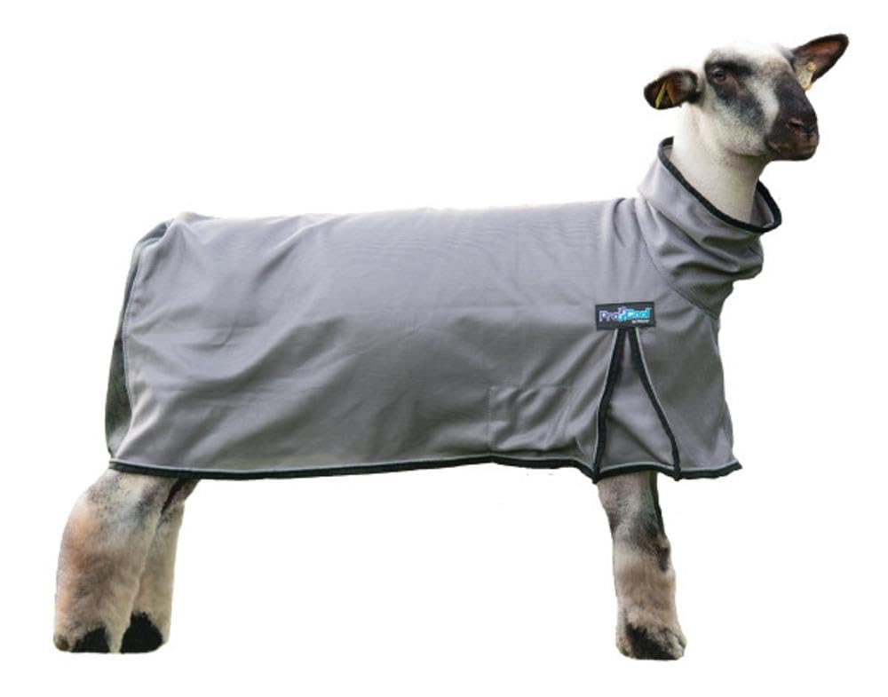 Weaver Leather ProCool sheep blanket with reflective piping for safer shading and cooler lamb care