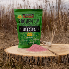 Whitetail Gone Wild alfalfa growing in well-drained soil for strong establishment