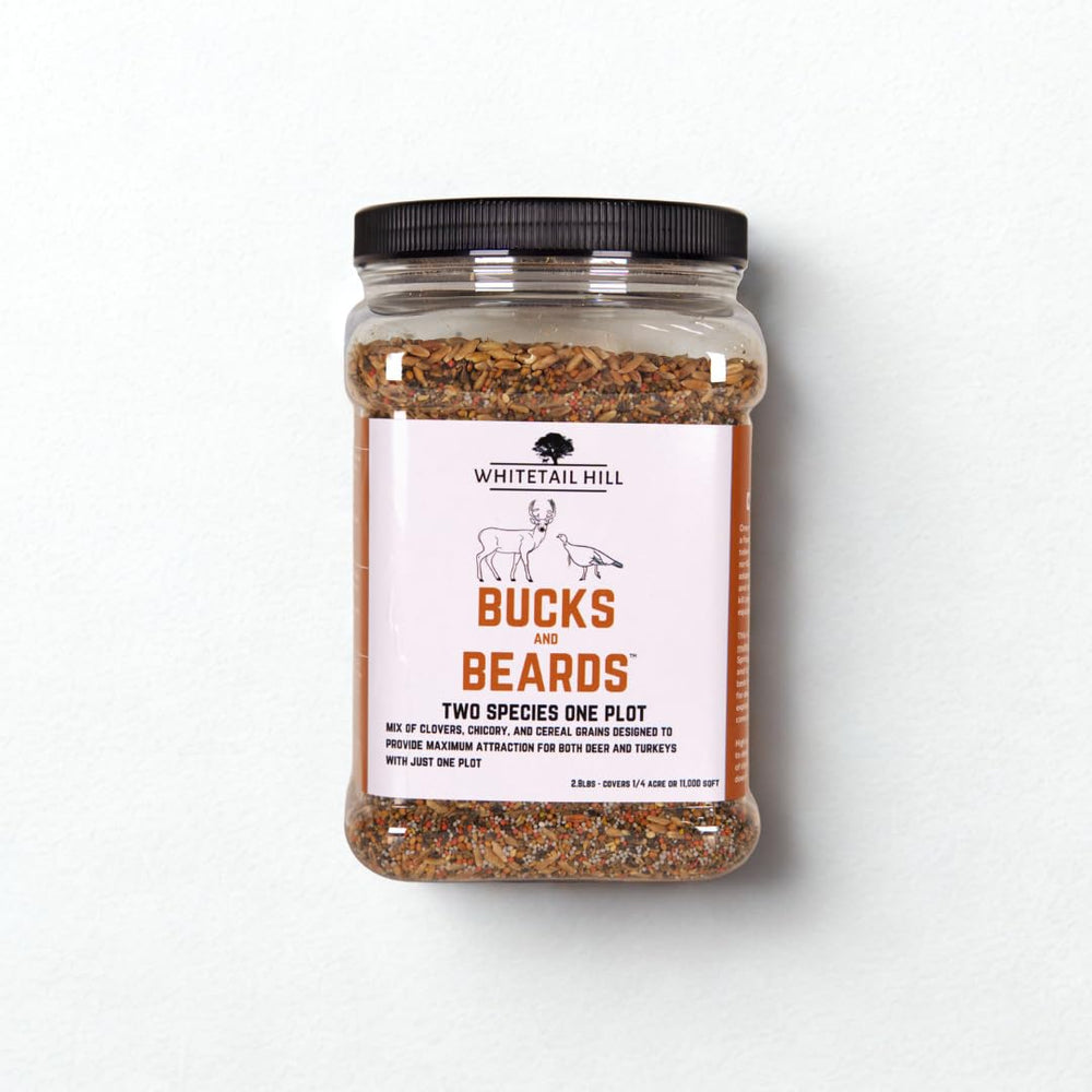 Whitetail Hill Bucks and Beards seed mix closeup with clovers and chicory for forage