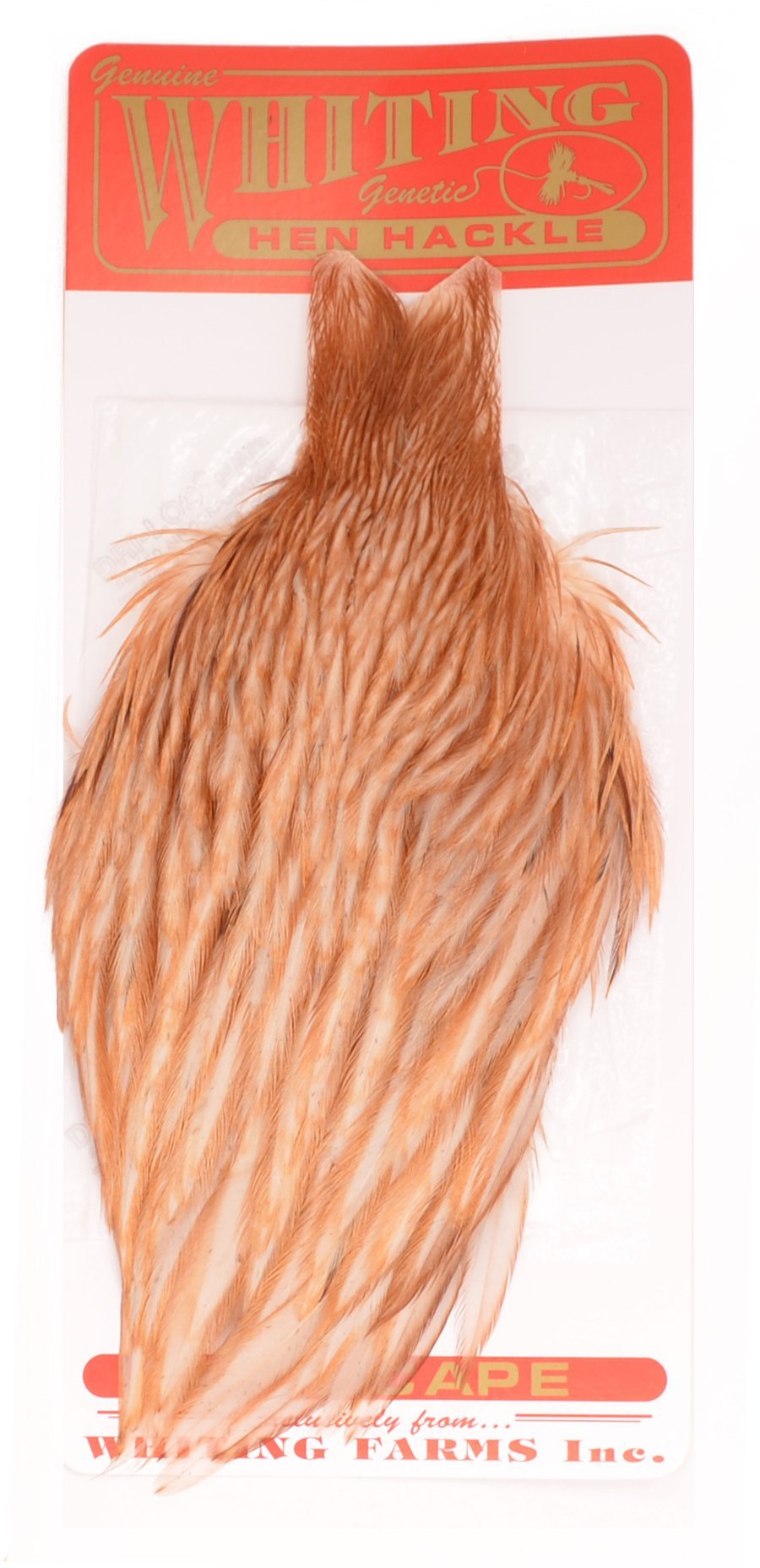 Whiting Farms Hen Cape Medium Ginger feather for dry fly wings and collars