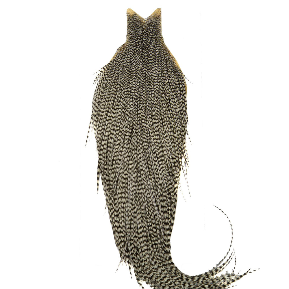 Whiting Farms High & Dry Cape close-up feathers show durable hackle for versatile dries