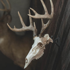 Wicked North Hang Up detail highlights universal-fit design for medium skulls.