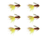 Wild Water bead-head yellow-brown woolly bugger front view boosts trout catching potential