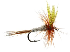 Wild Water Hendrickson dry fly on water, matching real insects for topwater bites.
