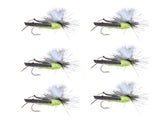 Wild Water parachute hopper dry fly size 12 resting on surface for surface feeding
